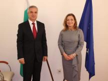 Задълбочаването на енергийното сътрудничество между България и Италия обсъдиха министър Румен Радев и посланик Джузепина Дзара