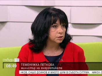 Теменужка Петкова: Енергетиката се нуждае от операция 